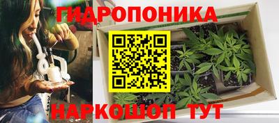 индика Каменск-Шахтинский