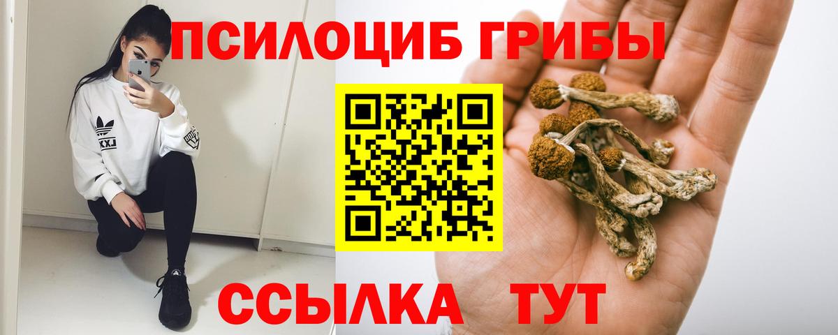 Галлюциногенные грибы мицелий Дзержинский